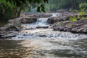 forest waterfall