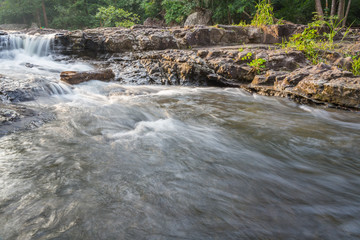 forest waterfall