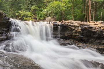 Fototapeta premium forest waterfall