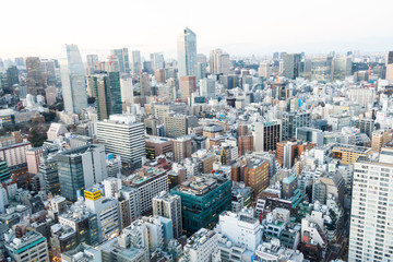 Cityscape of Tokyo, the most busiest city in Japan and Asia.
