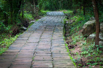 Stone pathway passing thru the Waterfall