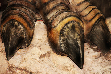Close up of foot Dinosaurs model