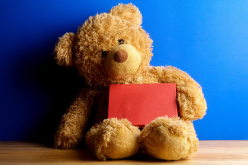 Teddy bear with red board on a blue background . Copy space.