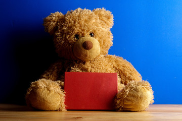 Teddy bear with red board on a blue background . Copy space.