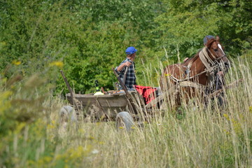 Obraz premium man riding horse