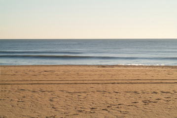 SEAGULLS VIRGINIA BEACH