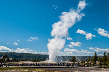 Fototapeta premium Old Faithful in Yellowstone National Park