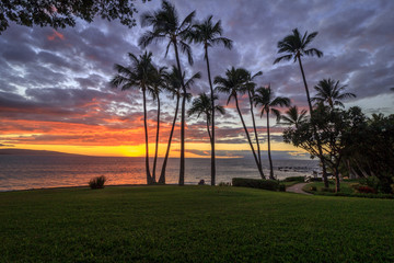 Hawaiian Sunset 