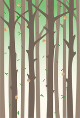 Background with tree trunks and falling fir cones and needles. A hovel forest.