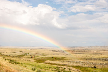 Naklejka na ściany i meble Rainbow Ending in a Field with Cows