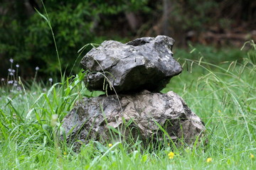 Two interesting large wet stones stacked one on top of other surrounded with high uncut grass and small flowers in local garden on warm rainy day