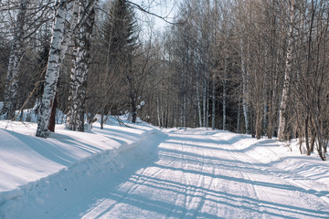Ski trail in the forest. Traasa in the winter forest. The road for walking through the winter...