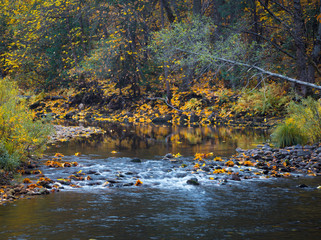 Creek in Fall