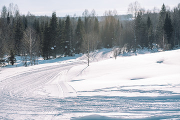 Fototapeta premium Ski trail in the forest. Traasa in the winter forest. The road for walking through the winter forest. Taiga in the winter. Tracks from the snowcat.