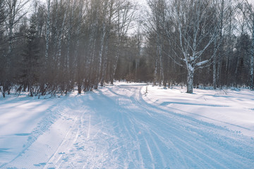 Obraz premium Ski trail in the forest. Traasa in the winter forest. The road for walking through the winter forest. Taiga in the winter. Tracks from the snowcat.