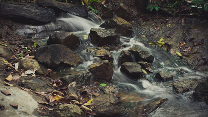 waterfall in the forest