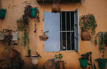 cozy courtyard with a window decorated with flowers in the ghetto of vietnam