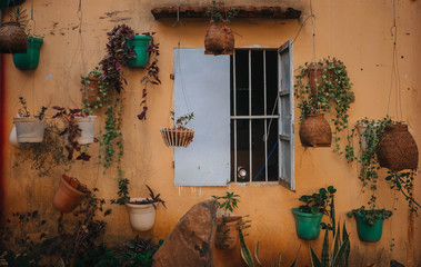 cozy courtyard with a window decorated with flowers in the ghetto of vietnam