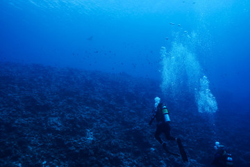 Naklejka na ściany i meble Diving the Maldives