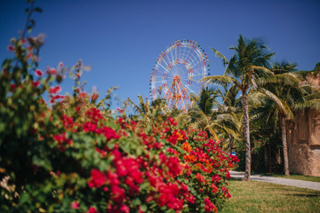  Ferris Wheel at California Beach Fun Park