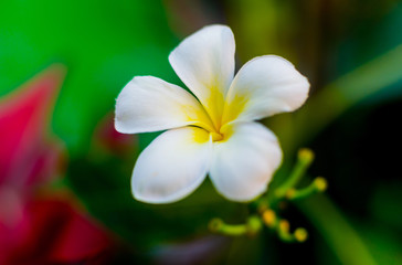 Abstract colored background close up. Macro.