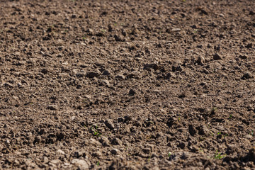 View of plowed agriculture field. Brown agricultural soil field.