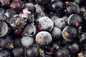 Frozen black currant berries