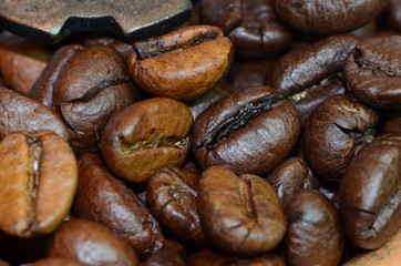 Coffee beans in a coffee grinder close-up