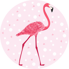 cute pink flamingo on pastel background - vector illustration, eps