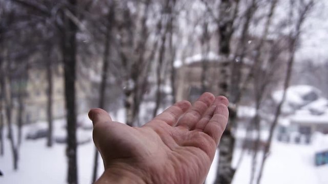 the snow fall on the hand
