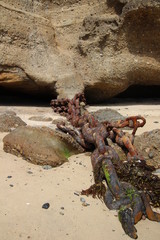 Rusty Chain at Catherine Hill Bay