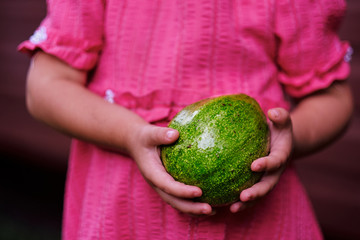 Girl holding a ripe green avocado