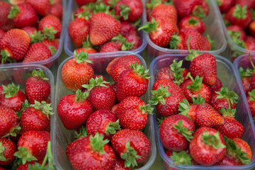A pile of fresh ripe organic homegrowm bright red crimson  strawberries in plastic containers ready for sale to vegetarians in spring and autumn.