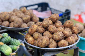 Two piles of raw homegrown fresh ripe organic potatoes lying on a measuring scale next to a pile of cucumbers ready for sale in summer and autumn
