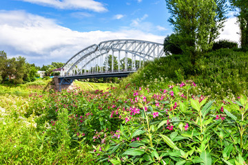 Wild flowers on the background of steel arch bridge