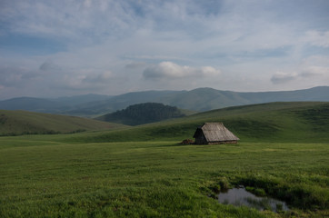 Sheep house in middle of mountain pasture in Zlatibor, Serbia. Idyllic rural scene