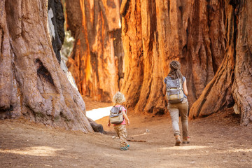 Family with boy visit Sequoia national park in California, USA