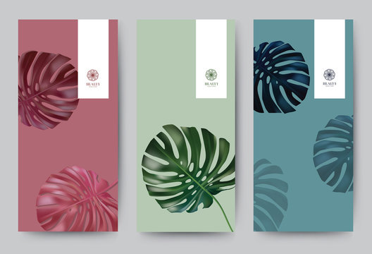 Branding Packageing leaf nature background, logo banner voucher, spring summer tropical, vector illustration