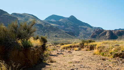Mountain Landscape with Desert and Vegetation in the Foreground in a Sunny Sky
