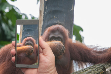 Touch screen smartphone in a hand