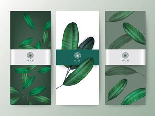 Branding Packaging tropical plant leaf summer pattern background, for spa resort luxury hotel, logo banner voucher, fabric pattern, organic texture. vector illustration.