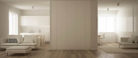 Panoramic view of one room apartment, kitchen, living room and home workplace. Parquet floor, soft carpet fur, and minimalist white interior design, modern architecture concept idea