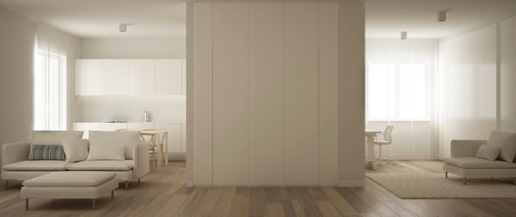 Panoramic view of one room apartment, kitchen, living room and home workplace. Parquet floor, soft carpet fur, and minimalist white interior design, modern architecture concept idea