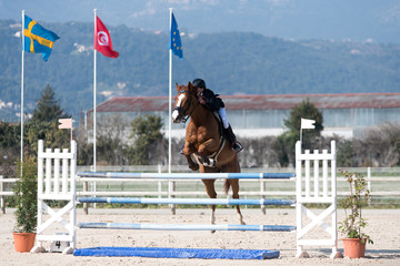 concours saut d'obstacles