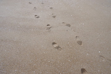 福岡西区海岸砂浜と足跡