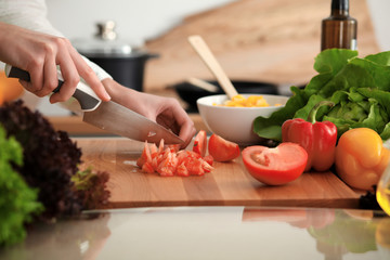 Unknown human hands cooking in kitchen. Woman slicing red tomatoes. Healthy meal, and vegetarian food concept