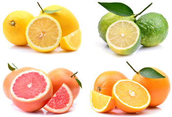 Fototapeta na wymiar Citrus fruits on a white background