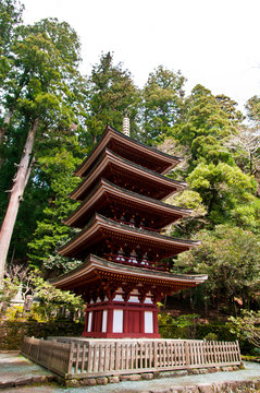 Muro-ji Temple is a temple of the Mt. Shingon Buddhism Muro-ji Temple group Omoto in Uda-shi, Nara.