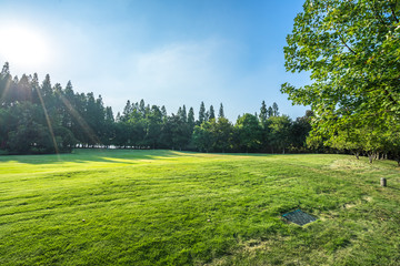 golf course in the park