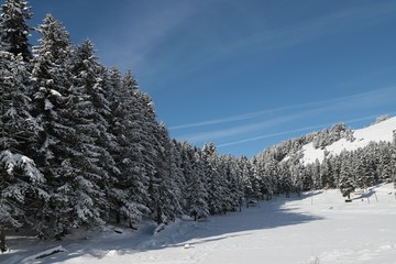 Obraz premium winter view karadeniz artvin savsat